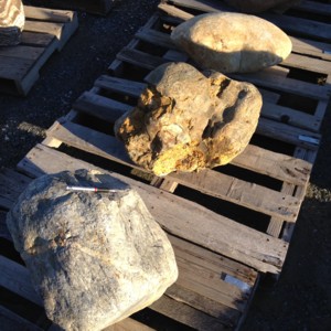 Photo of Gold Rush Cobble Boulders. Use in landscaping. Natural stone sold by Rolleri Landscape Products.