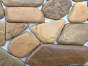 Photo of PETRIFIED SEASHORS HARTHSTONE TUMBLED VENEER. Sawed Natural Stone Veneer sold by Rolleri Landscape Products.